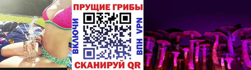 Псилоцибиновые грибы GOLDEN TEACHER Кукмор